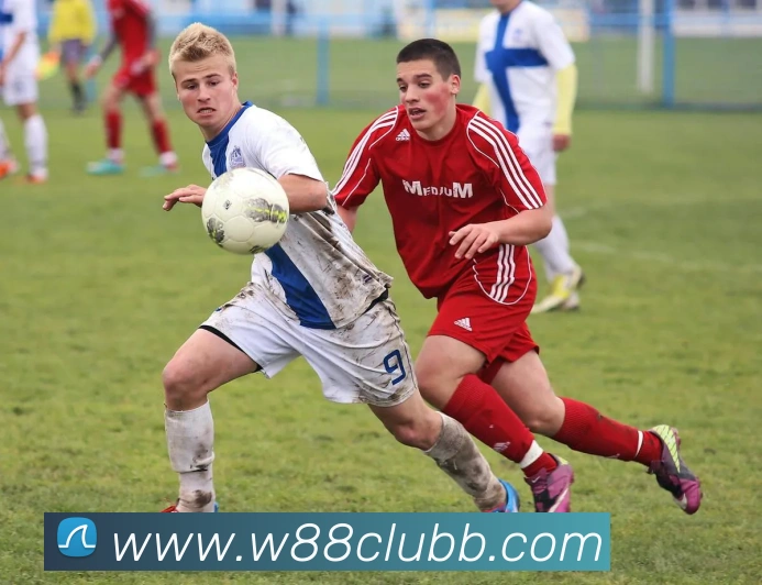 奖项证书